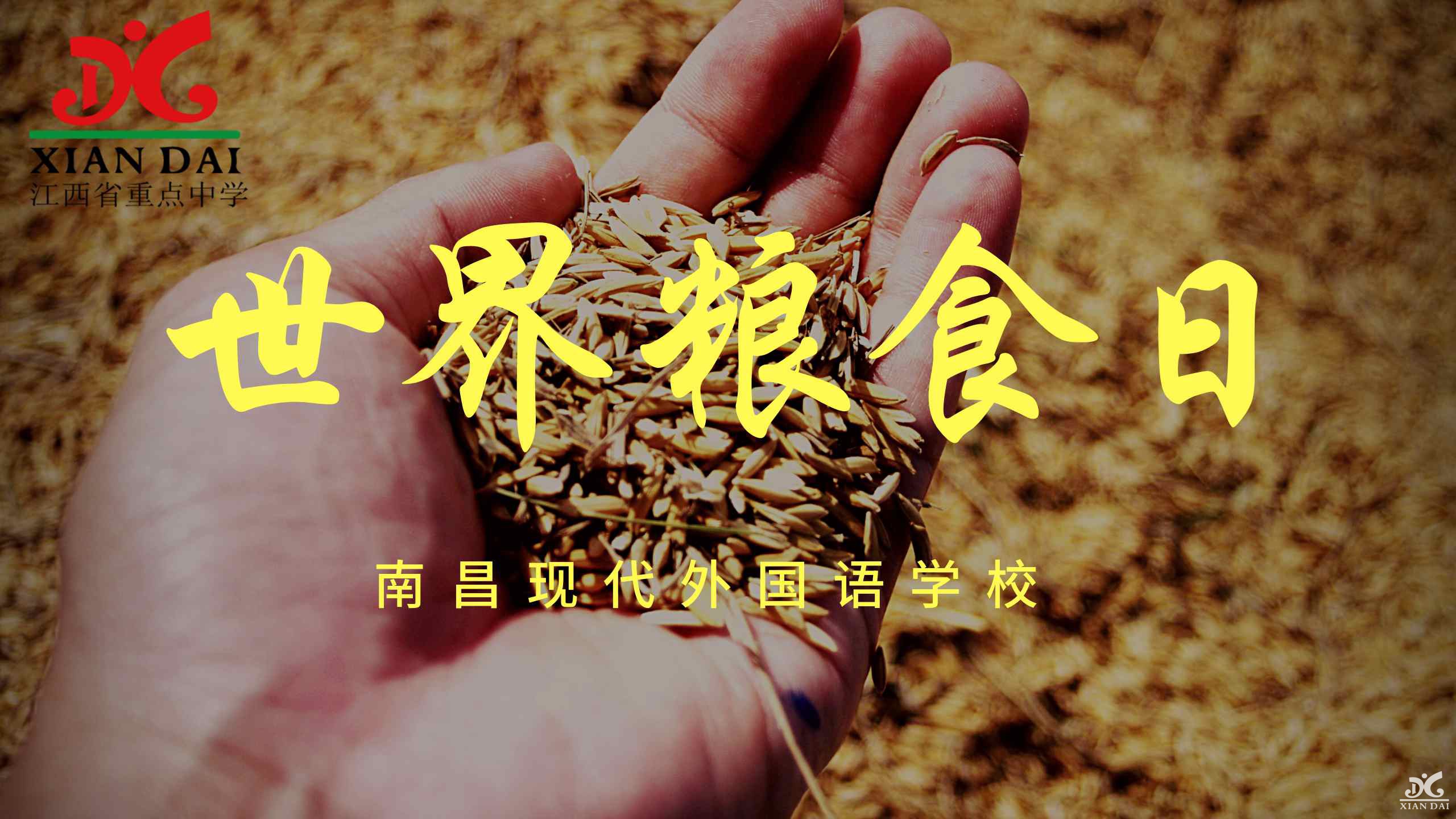 世界糧食日 | 愛糧節(jié)糧，我們在行動！